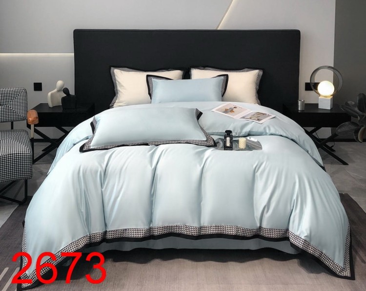 2673.jpg