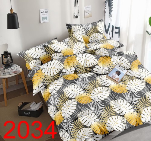 2034.jpg
