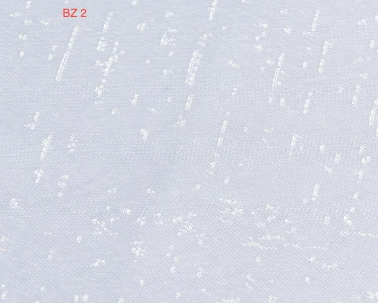 bz02a.jpg