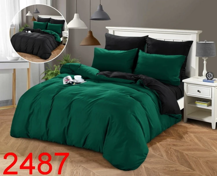 2487.jpg