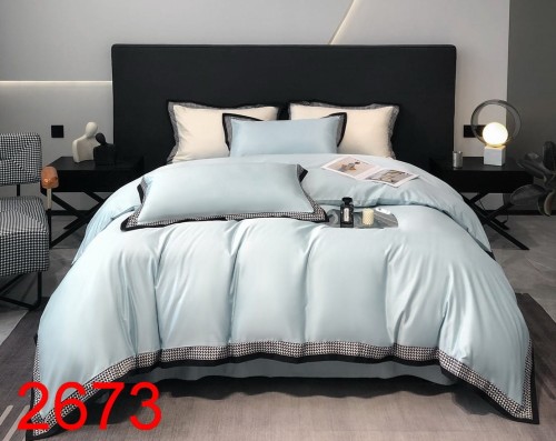 2673.jpg