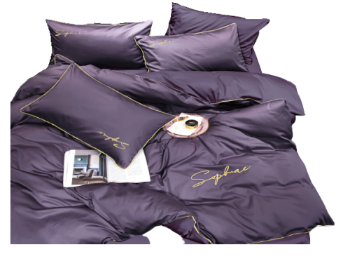2601-removebg-preview.png